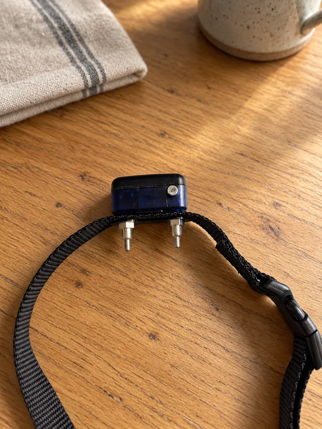 EcoLite receiver on its collar strap, resting on an oak table