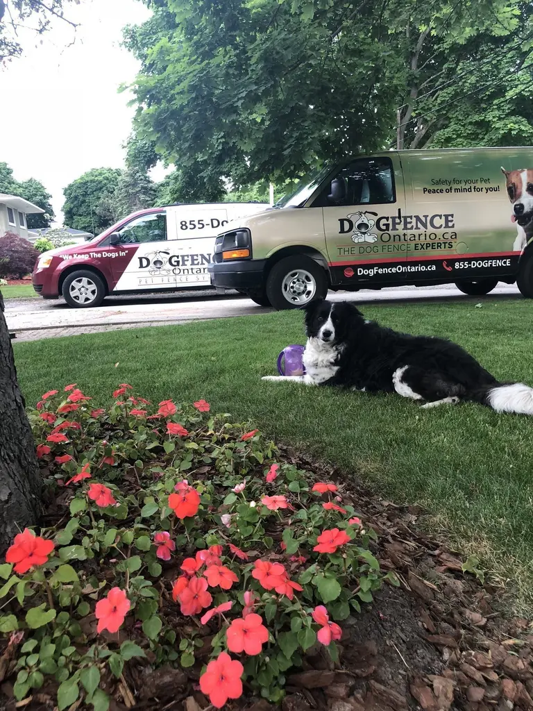 Dog Fence Ontario service van at a customer property